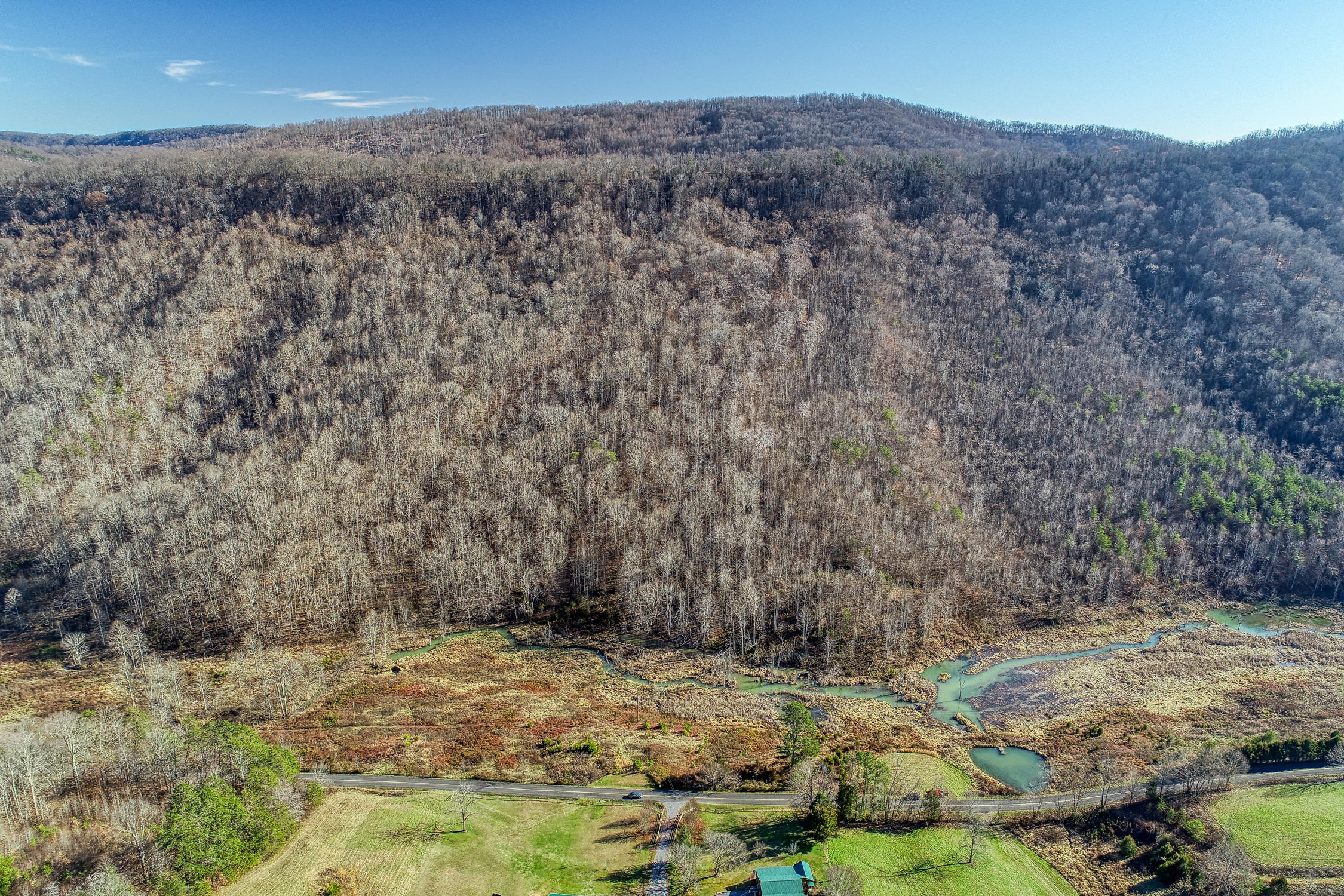 0 Butcher Valley Road Rogersville, TN 37857 - Photo 13 of 24 84EC4916-EC8A-42F6-AE5F-6F2B5B3E29A1