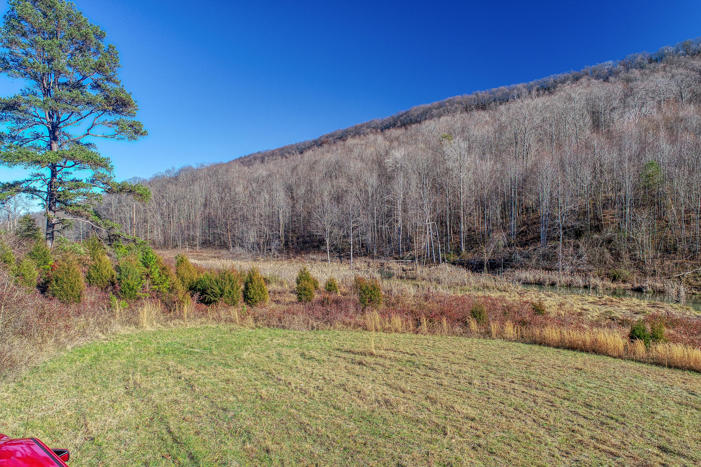 0 Butcher Valley Road Rogersville, TN 37857 - Photo 20 of 24 0D171425-EA7D-4311-9BF6-32347C6A492C