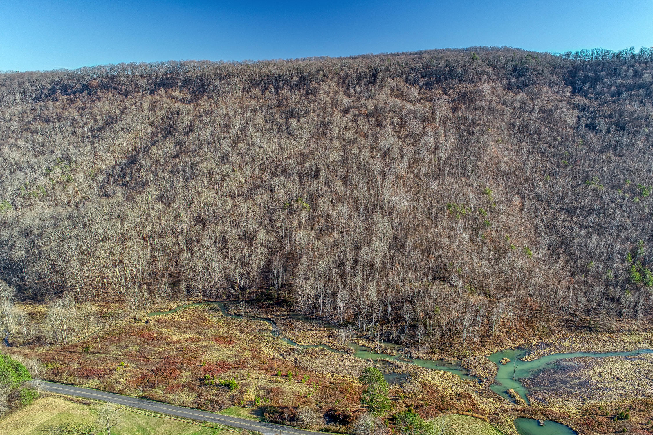 0 Butcher Valley Road Rogersville, TN 37857 - Photo 8 of 24 979BD277-88D7-43BB-9C8F-5B8BD5CFCE1B
