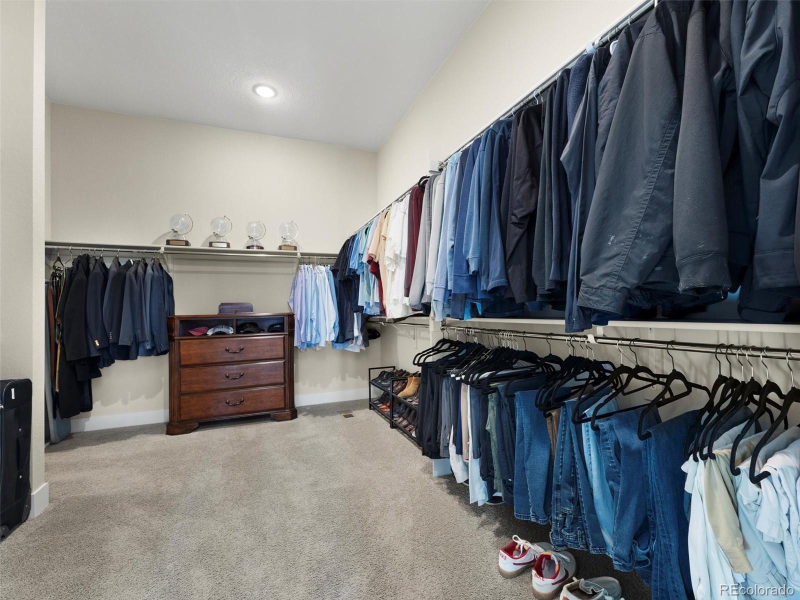 4797 Saddle Iron Road Castle Rock, CO 80104 - Photo 16 of 47