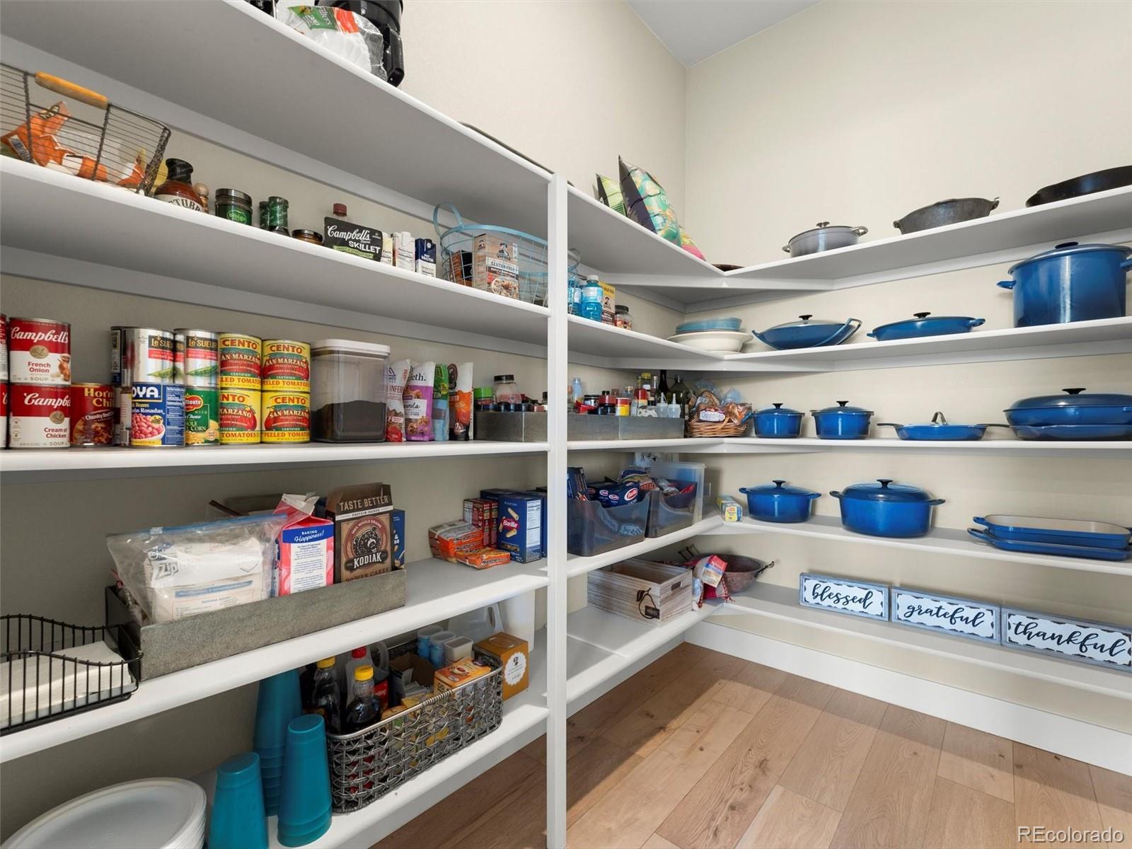 4797 Saddle Iron Road Castle Rock, CO 80104 - Photo 28 of 47