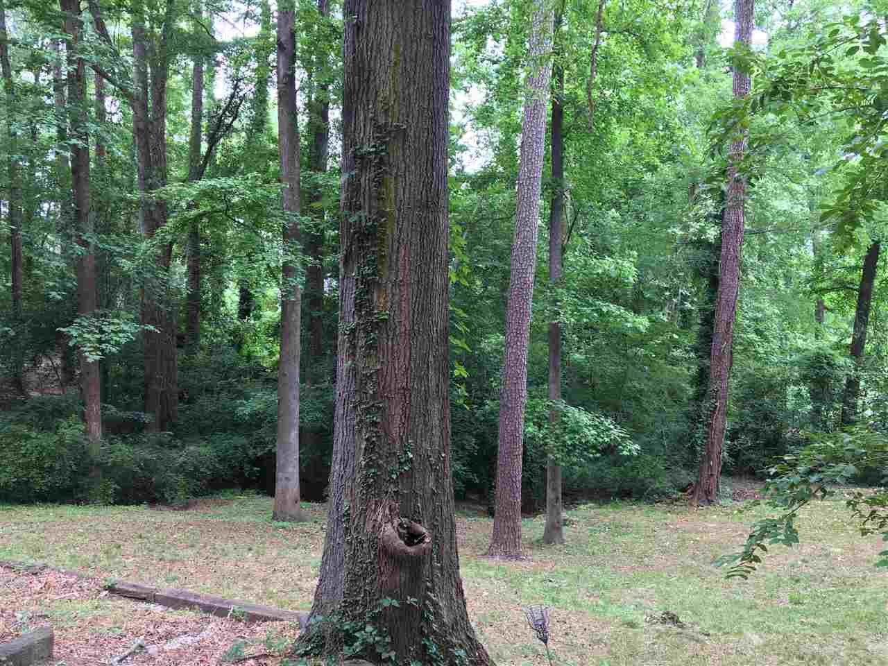 3614 Hope Valley Road Durham, NC 27707 - Photo 3 of 4 Photo 20