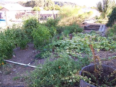 425 Hardwick Road Ukiah, CA 95482 - Photo 10 of 11 Gallery Image 10