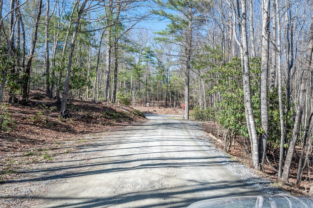 3014 Pine Mountain Road Independence, VA 24348 - Photo 43 of 50 Gallery Image 43
