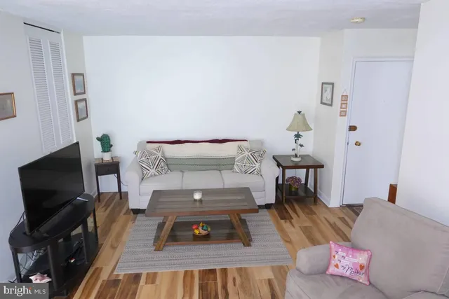 a dining room table chair and potted plant