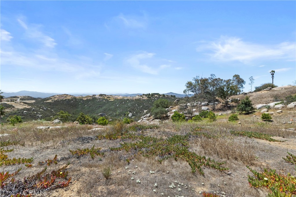 1252 Rancho Luiseno Road Escondido, CA 92026 - Photo 24 of 42