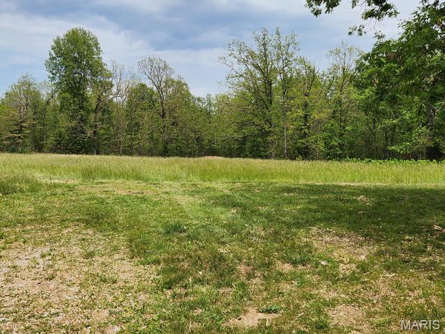53 Wagon Wheel Road Conway, MO 65632 - Photo 19 of 21