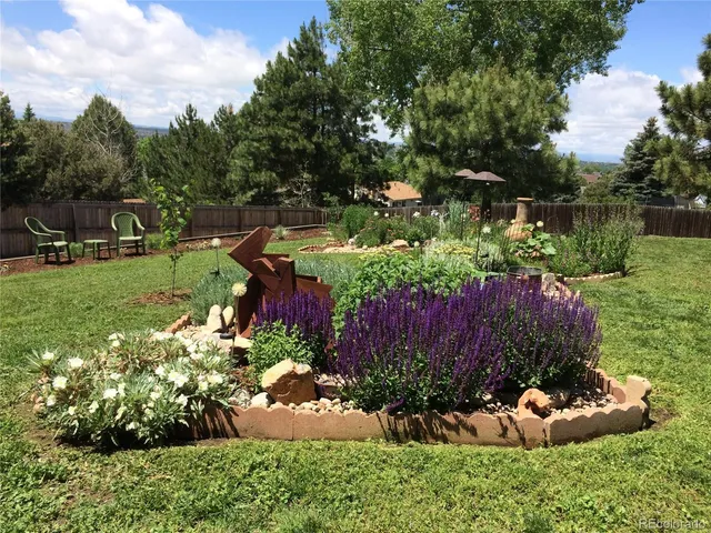 a view of a backyard with potted plants and large trees
