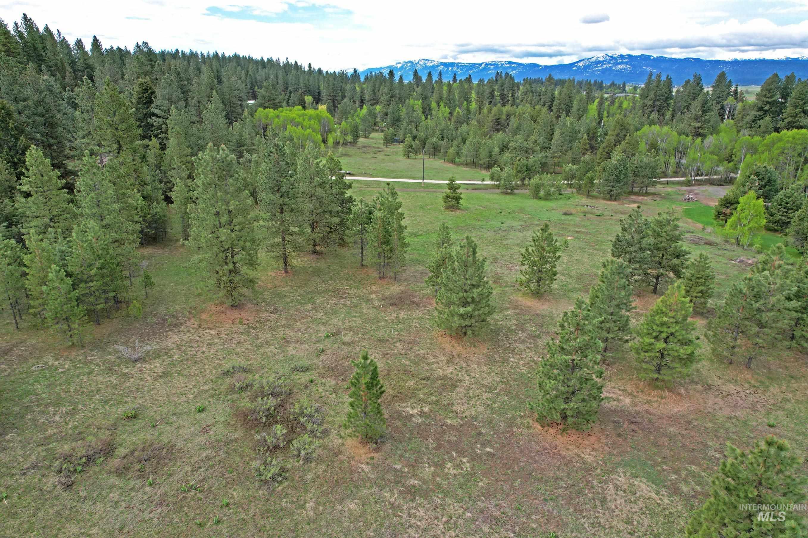 5 Elo Road McCall, ID 83638 - Photo 2 of 9