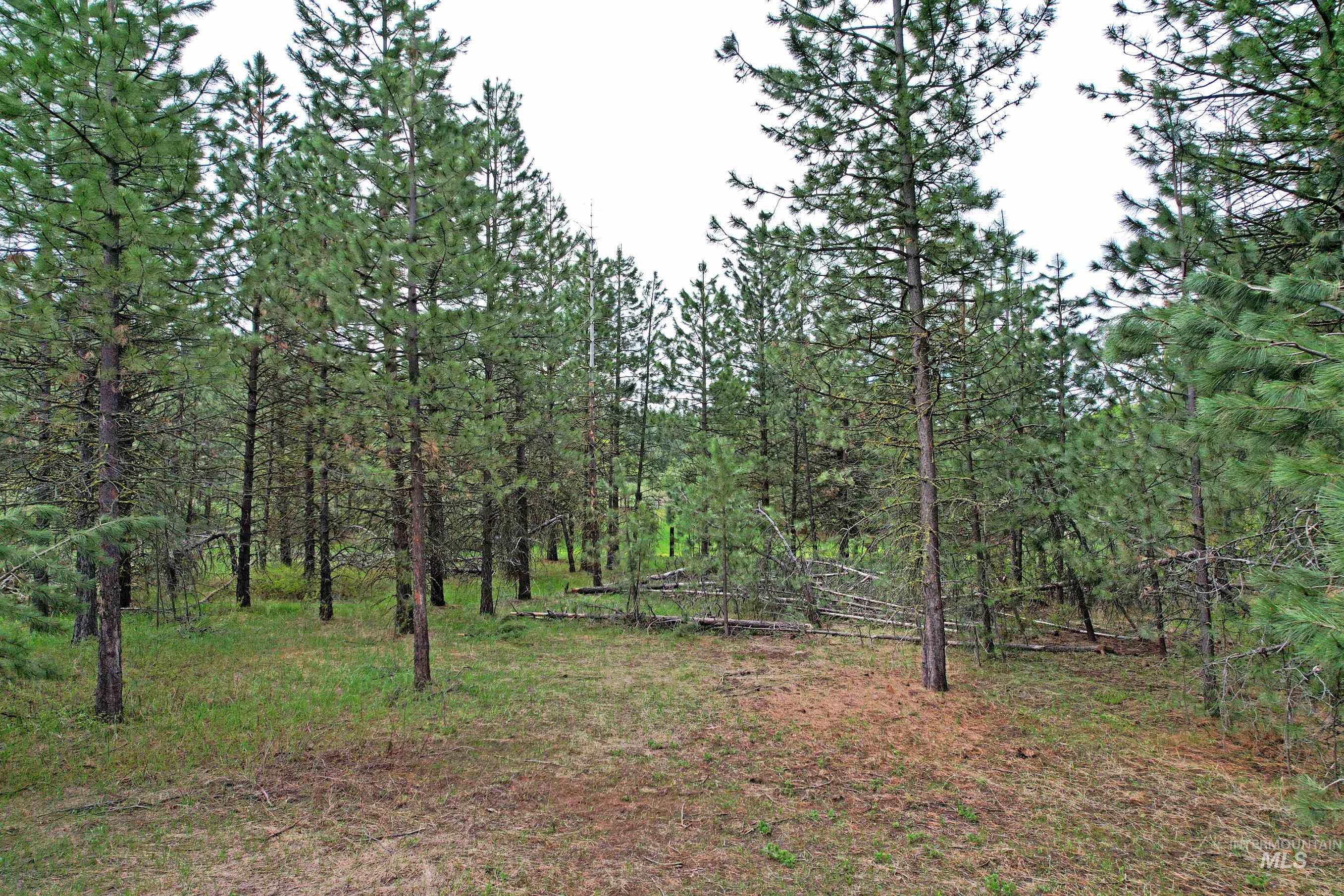 5 Elo Road McCall, ID 83638 - Photo 3 of 9