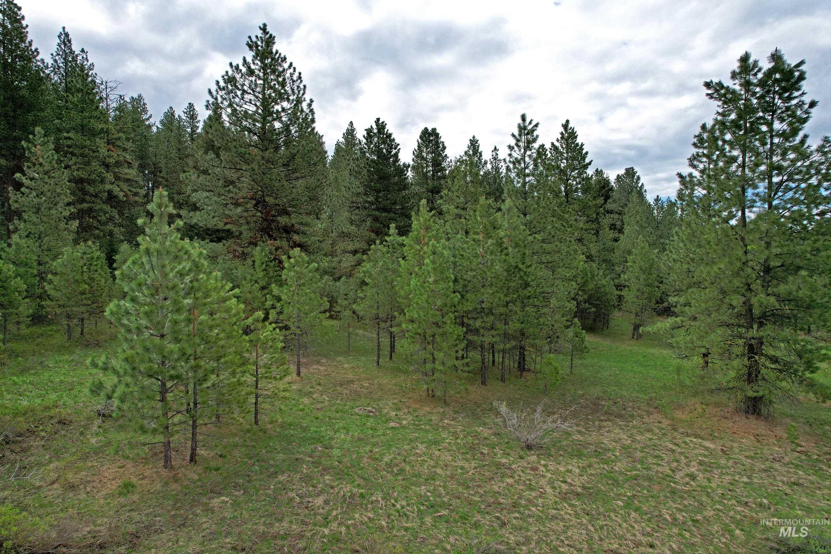 5 Elo Road McCall, ID 83638 - Photo 6 of 9