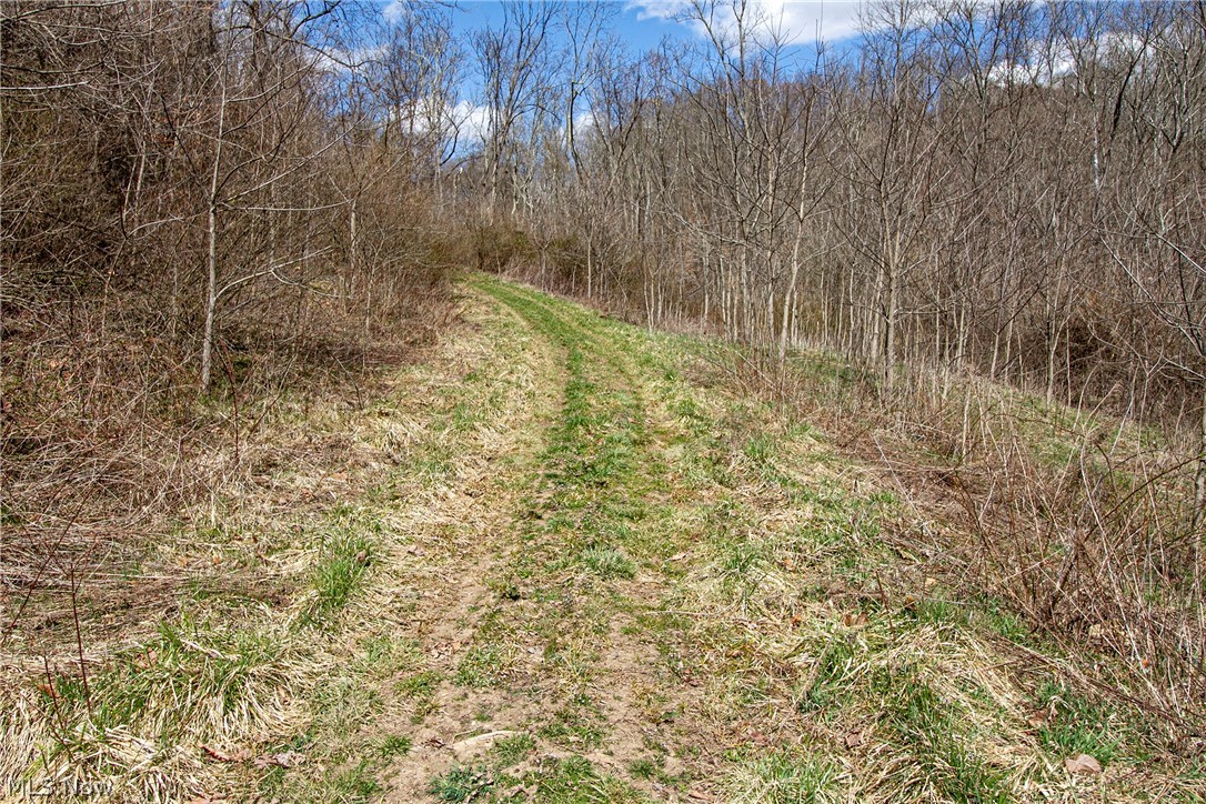 T-Ridge Road Caldwell, OH 43724 - Photo 25 of 35 Gallery Image 25