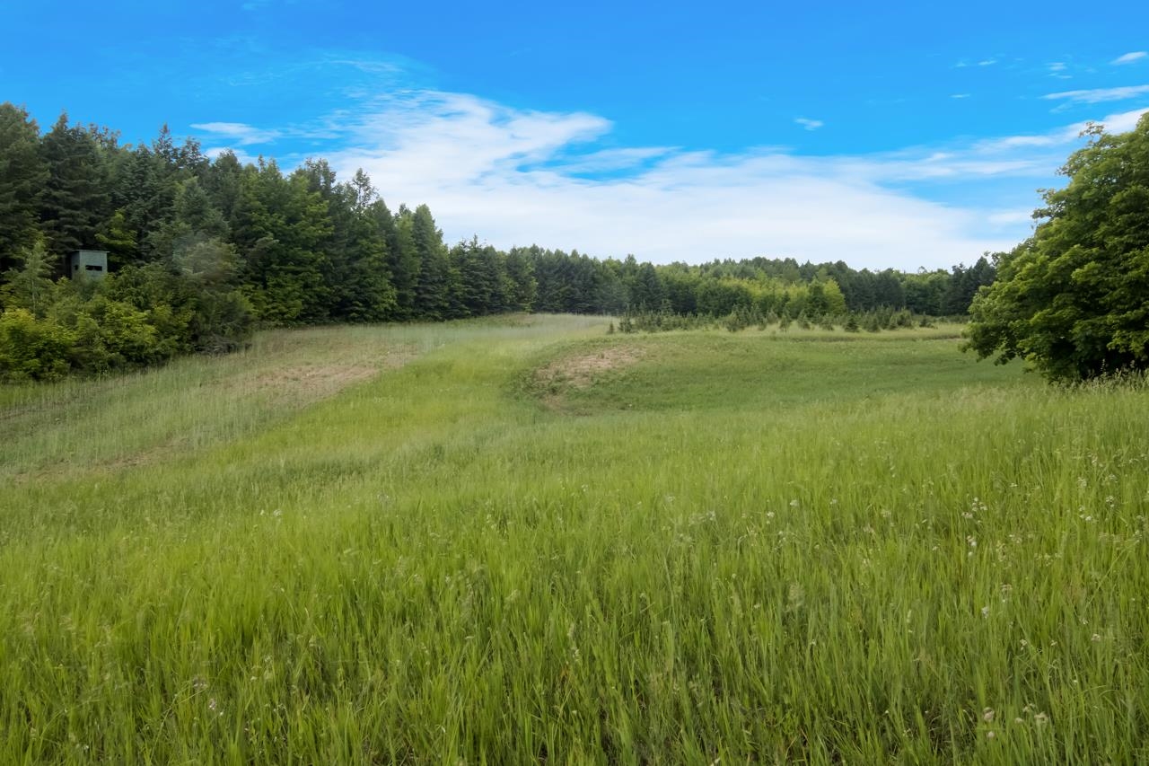 1551 North Macksey Road Suttons Bay, MI 49682 - Photo 24 of 34
