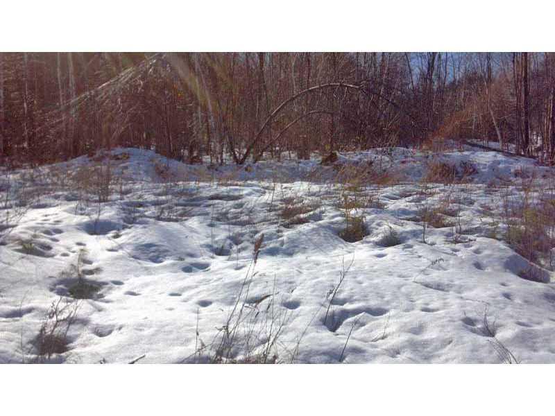 311 West Shore Road Ellsworth, ME 04605 - Photo 14 of 18 Land. Old Log Road on additional...