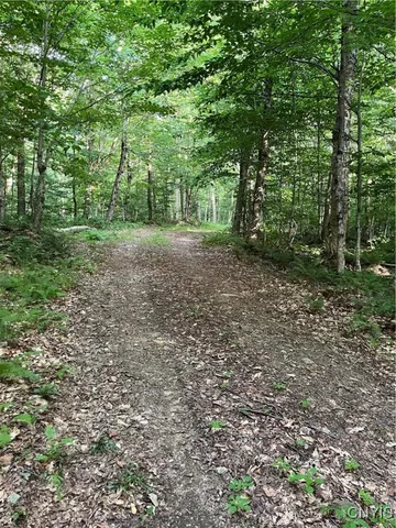 $74,900 | East Town Line Road, Lorraine, NY 13659