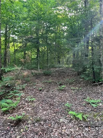 $74,900 | East Town Line Road, Lorraine, NY 13659