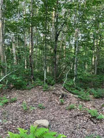 $74,900 | East Town Line Road, Lorraine, NY 13659