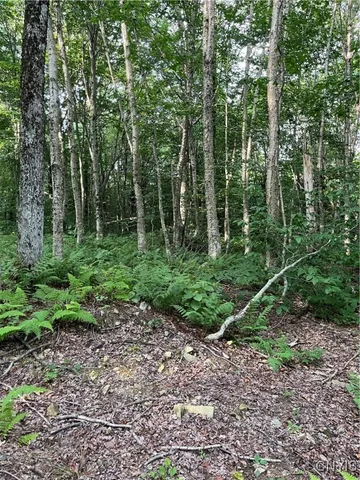 $74,900 | East Town Line Road, Lorraine, NY 13659