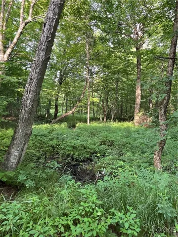 $74,900 | East Town Line Road, Lorraine, NY 13659