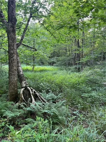 $74,900 | East Town Line Road, Lorraine, NY 13659