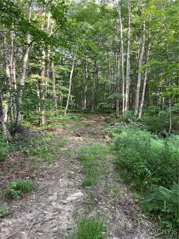 $74,900 | East Town Line Road, Lorraine, NY 13659