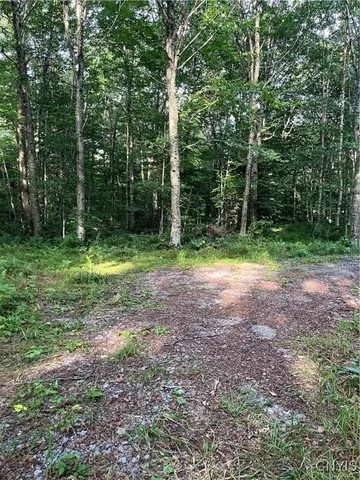 $74,900 | East Town Line Road, Lorraine, NY 13659