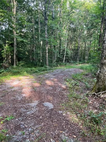 $74,900 | East Town Line Road, Lorraine, NY 13659