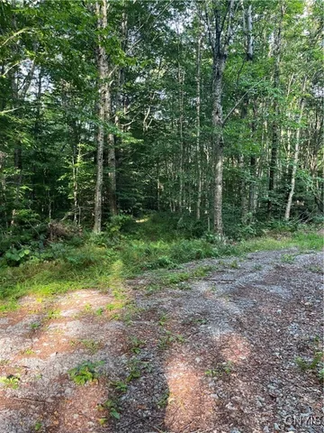 $74,900 | East Town Line Road, Lorraine, NY 13659