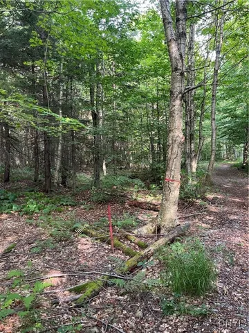 $74,900 | East Town Line Road, Lorraine, NY 13659