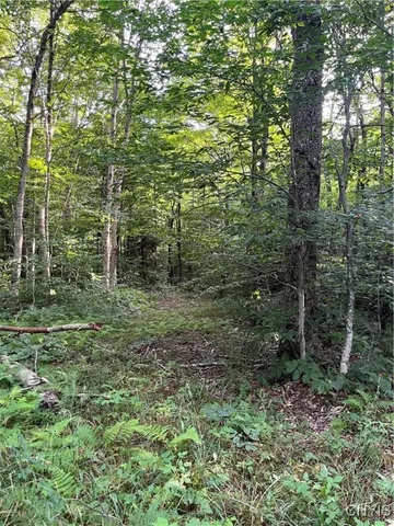 $74,900 | East Town Line Road, Lorraine, NY 13659