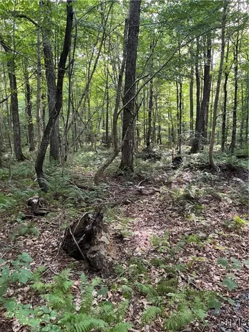 $74,900 | East Town Line Road, Lorraine, NY 13659