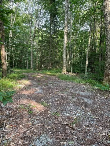 $74,900 | East Town Line Road, Lorraine, NY 13659