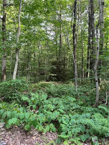 $74,900 | East Town Line Road, Lorraine, NY 13659