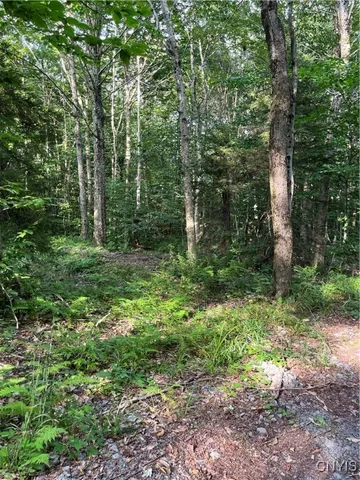 $74,900 | East Town Line Road, Lorraine, NY 13659