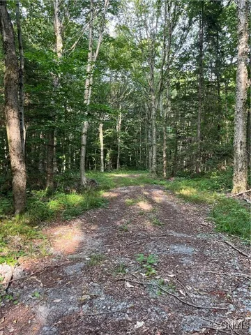 $74,900 | East Town Line Road, Lorraine, NY 13659