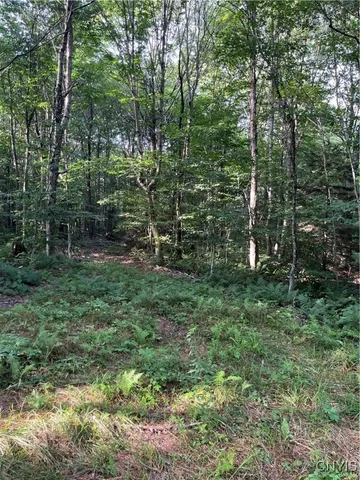 $74,900 | East Town Line Road, Lorraine, NY 13659