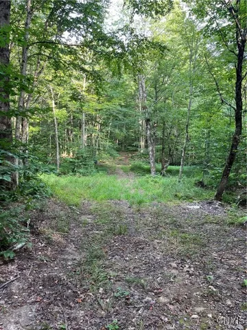 $74,900 | East Town Line Road, Lorraine, NY 13659