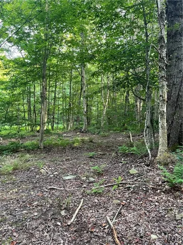 $74,900 | East Town Line Road, Lorraine, NY 13659