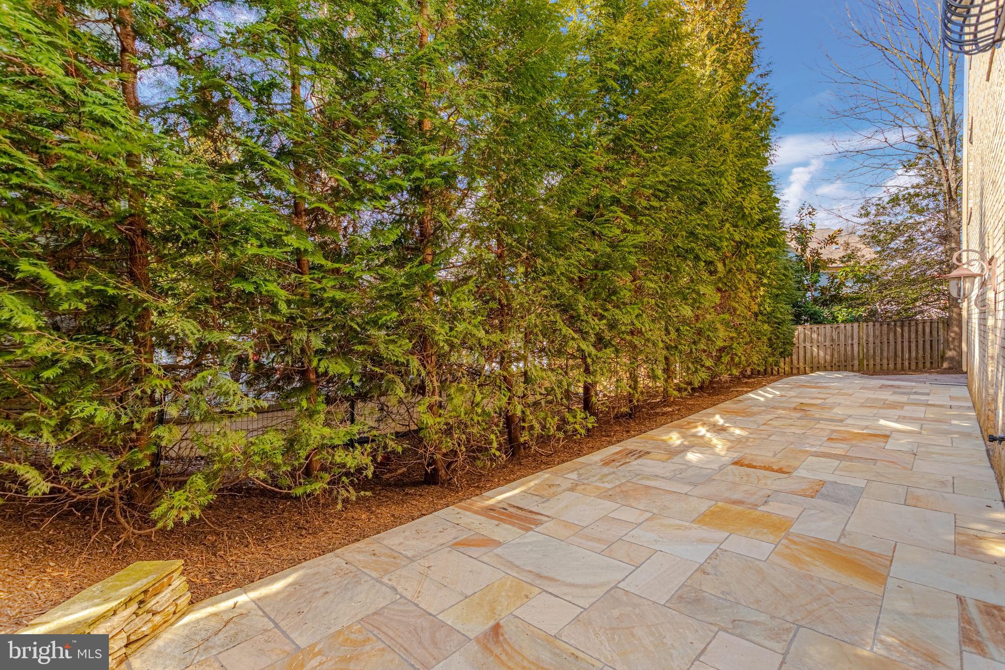 1206 Summit Road McLean, VA 22101 - Photo 44 of 45 a view of a yard with some plants