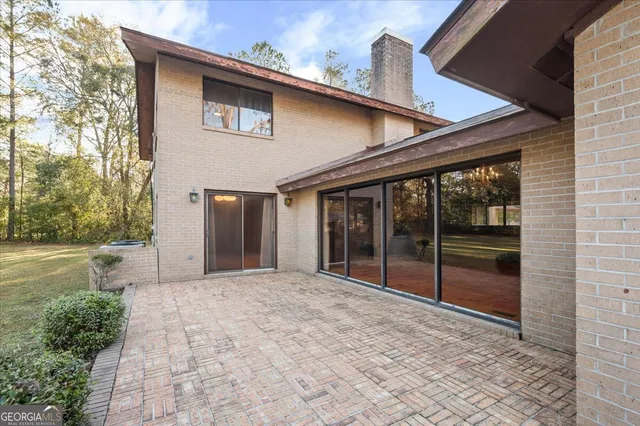 a view of a plant in a garden