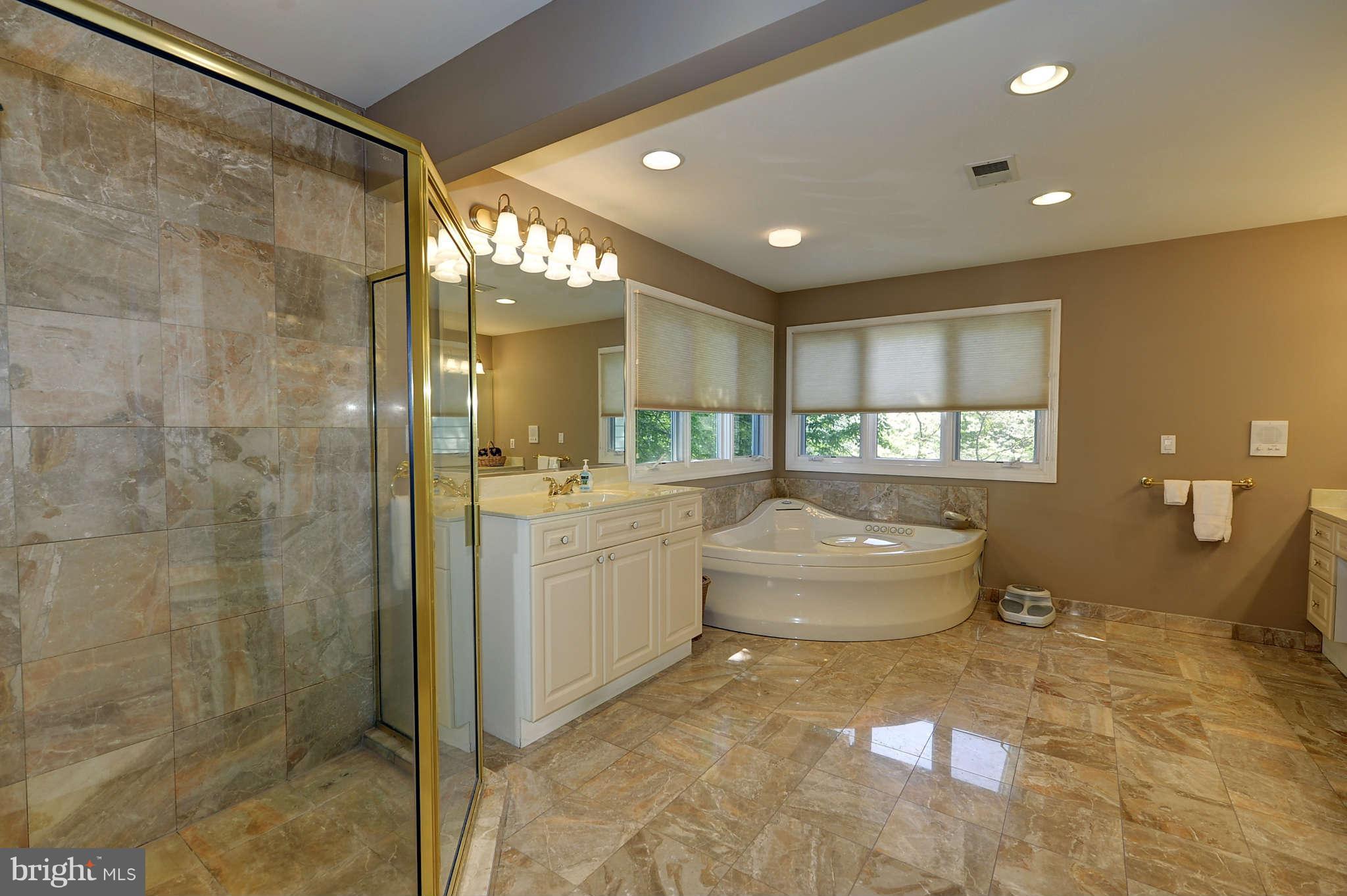 831 Utterback Store Road Great Falls, VA 22066 - Photo 17 of 30 Bath (Master)