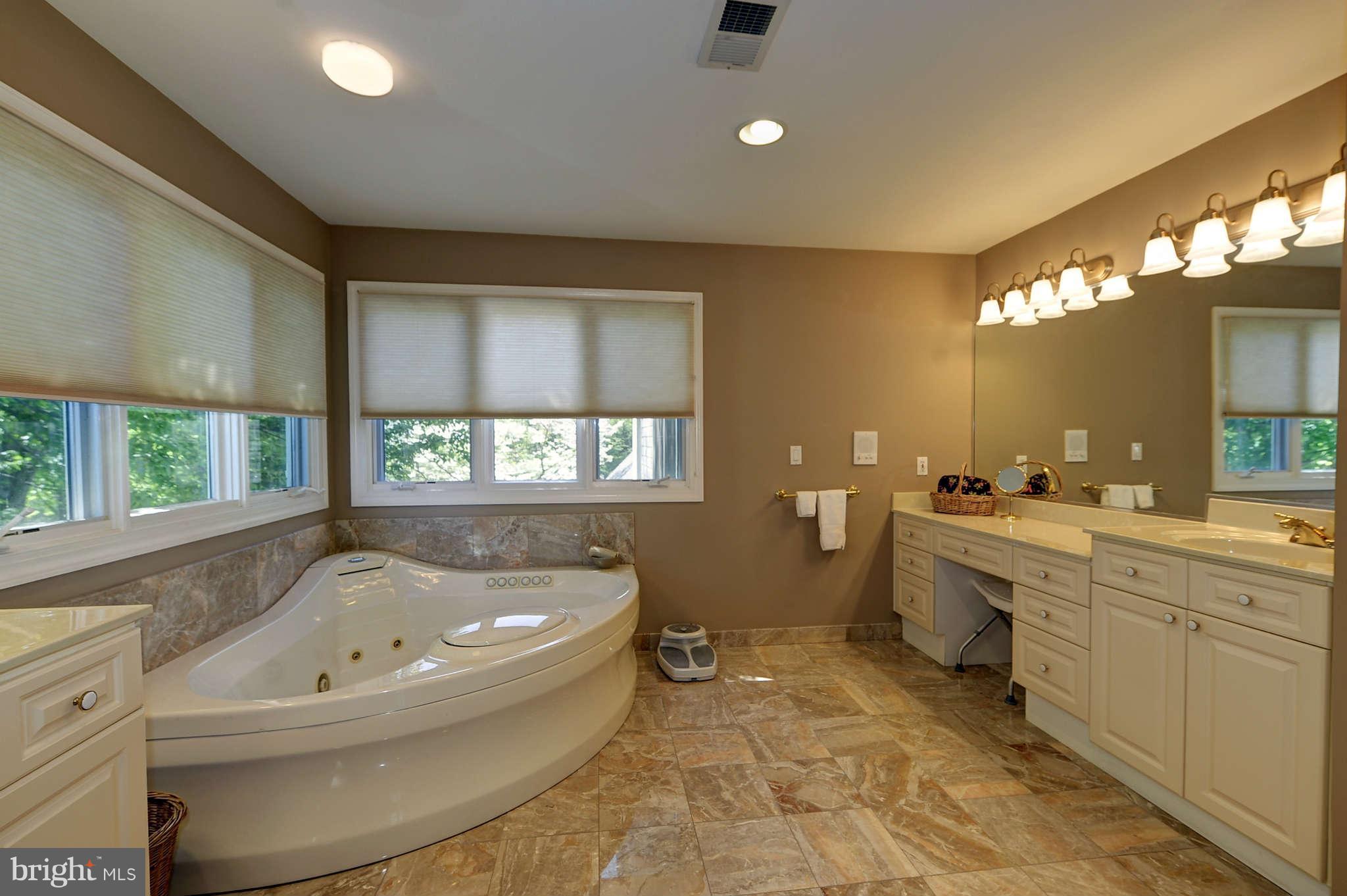 831 Utterback Store Road Great Falls, VA 22066 - Photo 18 of 30 Bath (Master)