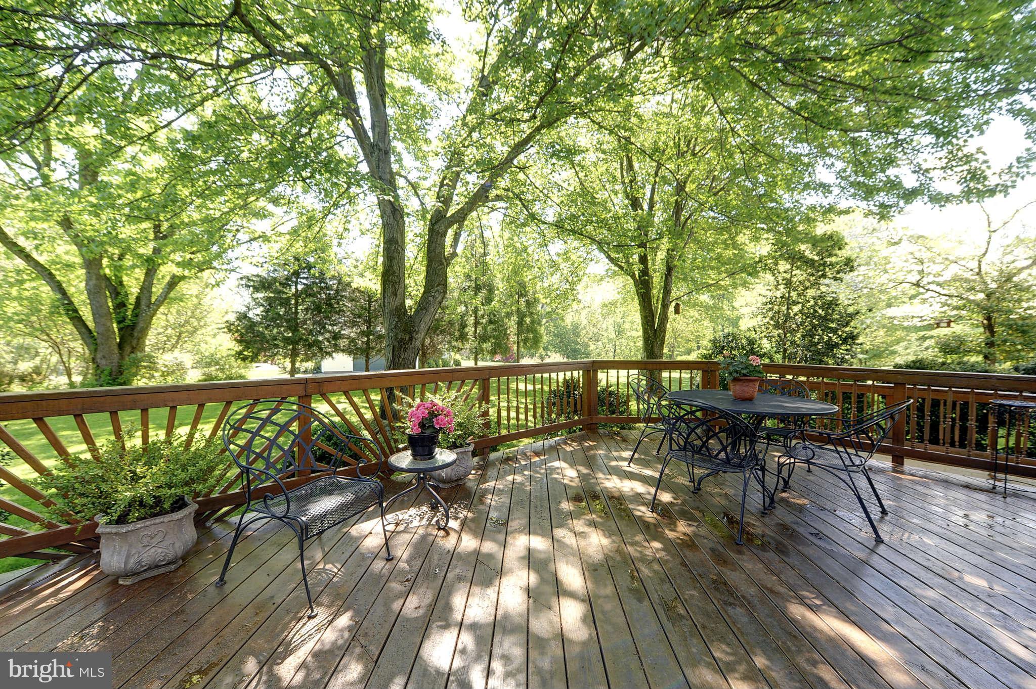 831 Utterback Store Road Great Falls, VA 22066 - Photo 26 of 30 Exterior (Rear)