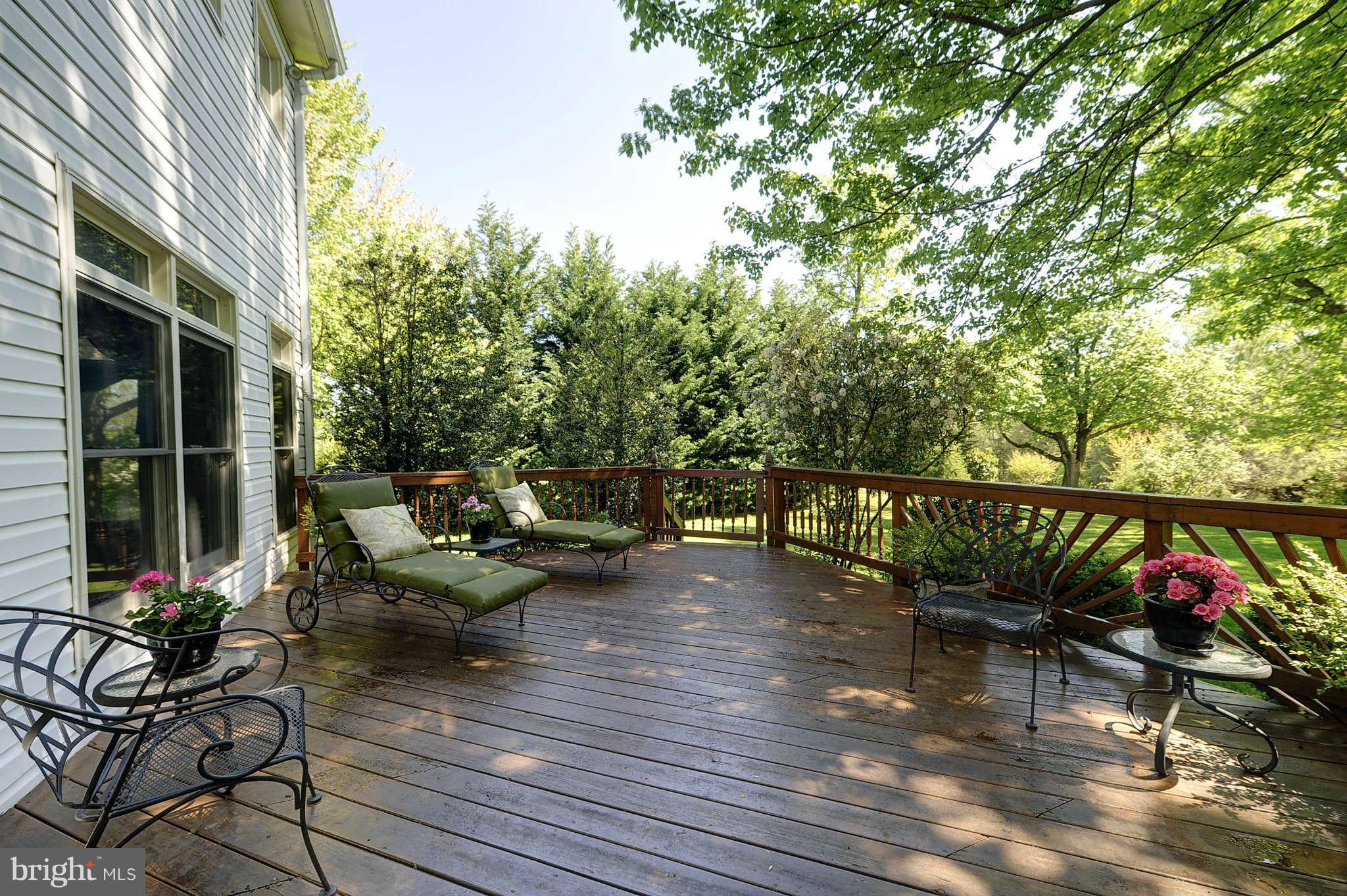 831 Utterback Store Road Great Falls, VA 22066 - Photo 27 of 30 Exterior (Rear)