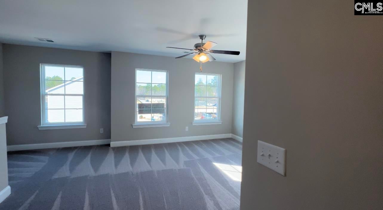 229 Secretariat Street Lexington, SC 29073 - Photo 22 of 26 Gallery Image 22