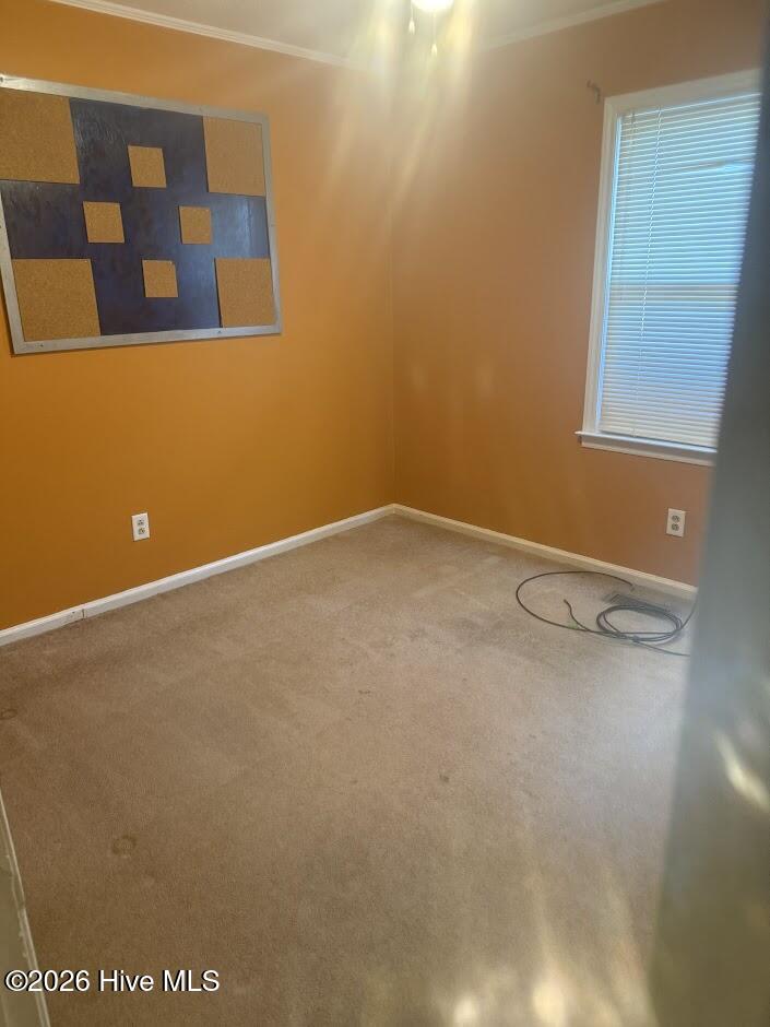 456 Sand Ridge Road Hubert, NC 28539 - Photo 27 of 48 IMG_7901