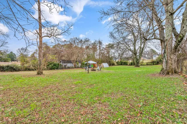 a green field with lots of trees
