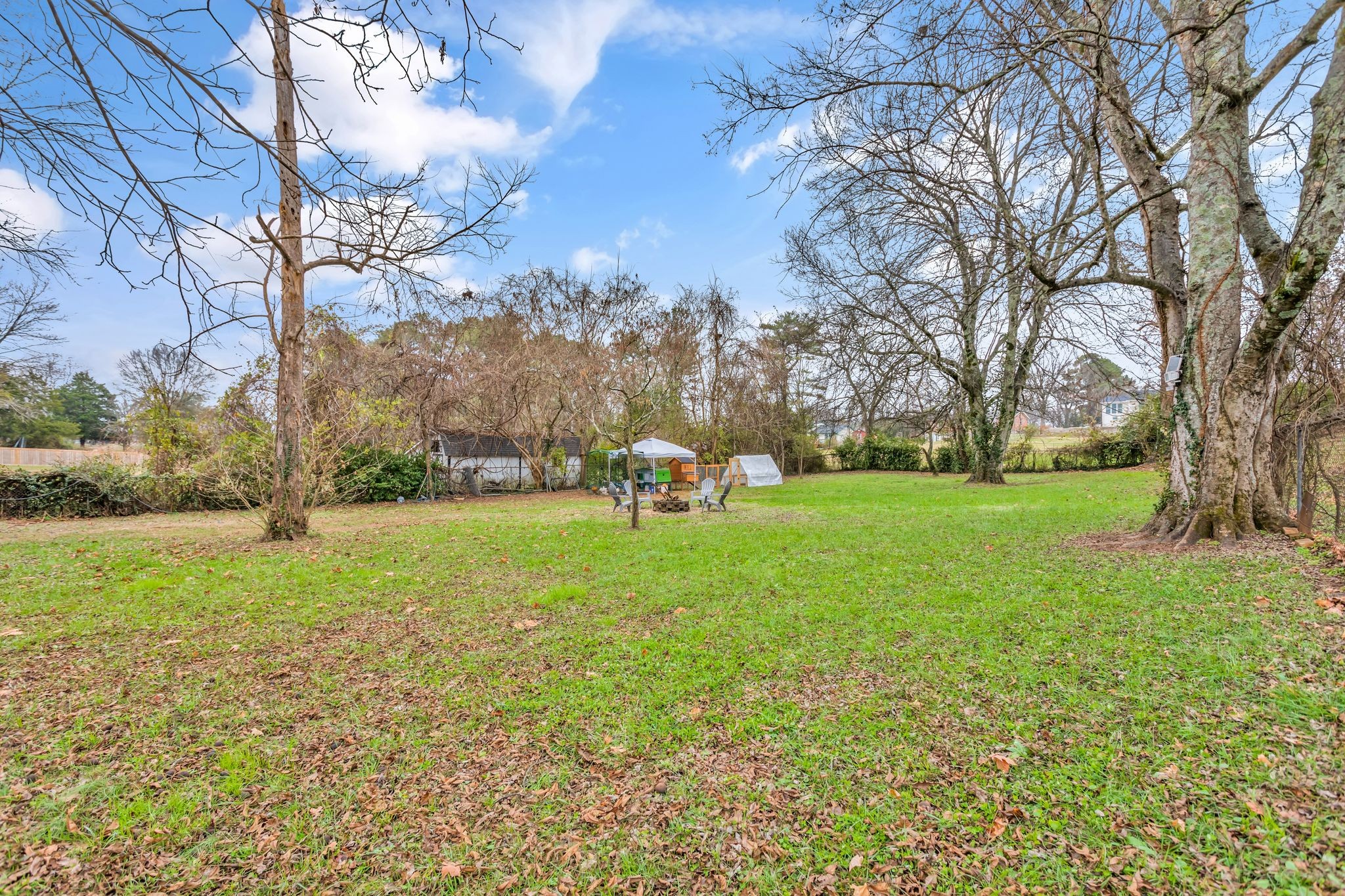 124 North Laurel Circle Columbia, TN 38401 - Photo 37 of 40 a green field with lots of trees