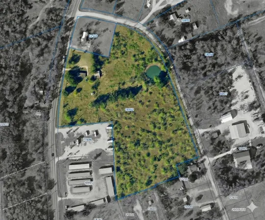 a view of a tree with a yard