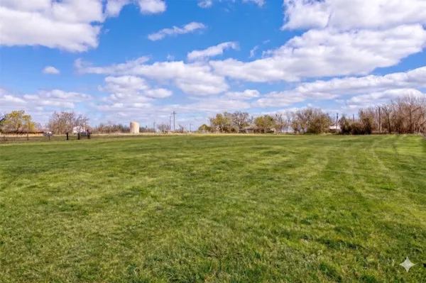 a view of a grassy field with trees